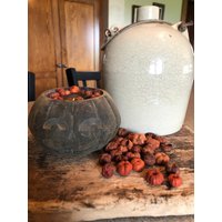 Großes Bienenwachs Votivlicht Mit Putka Schoten #347~Halloween~Herbst~Primitiv~Schranklicht~Kürbis~ von farmfieldprimitives