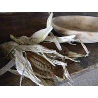 Primitiver Bienenwachs Mais Mit Spelzen #302 ~Geschwärzt~Golden~Herbst~Ernte~ von farmfieldprimitives