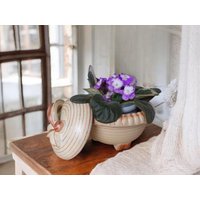 Keramik Dose Mit Deckel Keksedose Bonbonniere in Art Deco Design Vintage Deckeldose Keramik Dose Mit Deckel Keksedose Bonbonniere in Art Deco Design Vintage Deckeldose von sinteins