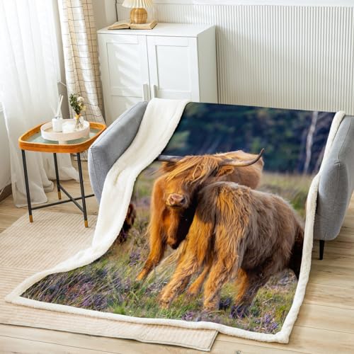 Kuh-Überwurfdecke, Hochland-Kuh, stehend auf einer Grasschige, Bettüberwürfe für Kinder, 3D-Tierthema, Flanell-Fleece-Decke für Couch, gemütliche Luxus-Bettdecke, Doppelbett-Größe (152.4x200.9 cm) von feelingyou