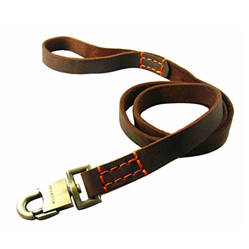 1.5 Meter Hundeleine Leder Große Hunde Braun Lederleine Retrieverleine Führleine Trainingsleine Luxus Walking Schleppleine Vollrindleder Übungsleine Leash Mittlere Grosse Hunde (Stitching, 150cm) von feiling