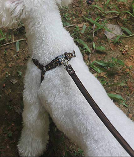 Hundegeschirr Kleine Hunde Leder Verstellbar feiling Hundegeschirr Welpen Brustgeschirr Haustier Ausbruchsicher Katzengeschirr Ledergeschirr Weichem mit 1.3m Hundeleine Leder (Braun) von feiling