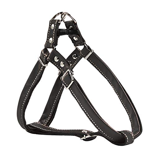 Hundegeschirr Leder Softgeschirr Verstellbare Brustgeschirre Norweger Haustier Ledergeschirr Weichem für Kleine Mittlere Große Hunde (M, schwarz) von feiling