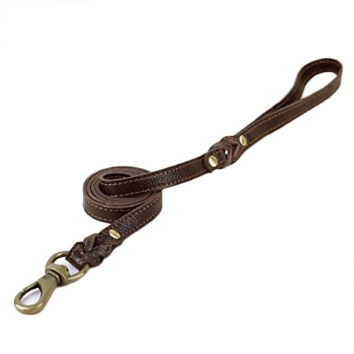 Lederleine 1.2 Meter Hundeleine Vollrindleder Weichem Hundführleine Haustier Katzen Walking Leine für Welpen Klein Hunde Pet Leads Schauleine Leder Leash (braun) von feiling