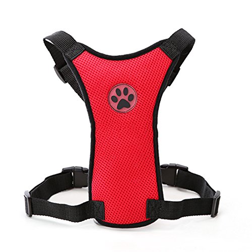 Pfotenabdruck Weich Autogeschirr Air Mesh Hundegeschirr Verstellbare Brustgeschirre für Klein Mittlere und Große Hunde Harness Atmungsaktiv Sicherheitsgeschirre Haustier Laufgeschirre (S, rot) von feiling