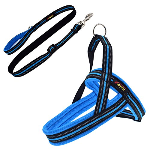 Welpengeschirr Hundegeschirr Reflektierende Brustgeschirre Training Laufgeschirre Sicher Vest für Kleine Mittlere und Große Hunde No-Pull-Geschirr Verstellbares mit Hundeleine (M, blau) von feiling