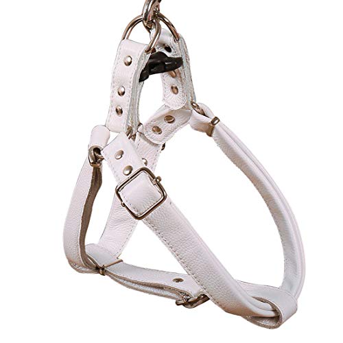 feiling Hundegeschirr Hundeleine Set Weich Leder Brustgeschirre Haustier Verstellbare Ledergeschirr Hundeführleine für Kleine Mittlere Große Hunde (M, Weiß) von feiling