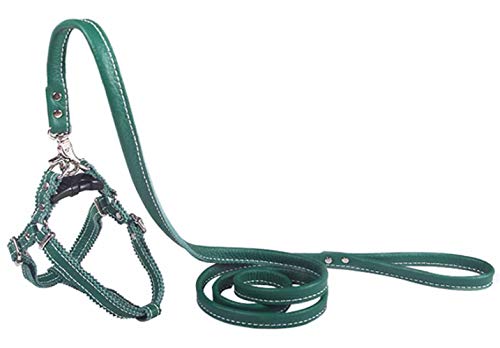 Hundegeschirr Kleine Hunde Leder Verstellbar feiling Hundegeschirr Welpen Brustgeschirr Haustier Ausbruchsicher Katzengeschirr Ledergeschirr Weichem mit 1.3m Hundeleine Leder (Grün) von feiling