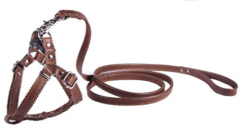 Hundegeschirr Kleine Hunde Leder Verstellbar feiling Hundegeschirr Welpen Brustgeschirr Haustier Ausbruchsicher Katzengeschirr Ledergeschirr Weichem mit 1.3m Hundeleine Leder (Hellbraun) von feiling