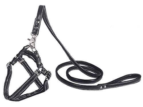 Hundegeschirr Kleine Hunde Leder Verstellbar feiling Hundegeschirr Welpen Brustgeschirr Haustier Ausbruchsicher Katzengeschirr Ledergeschirr Weichem mit 1.3m Hundeleine Leder (Schwarz) von feiling