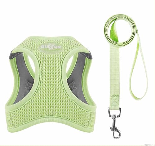 feiling Hundegeschirre Atmungsaktiv Katzengeschirr Leichtgewicht Welpengeschirr für Kleine Hunde Brustgeschirre Reflektierend Softgeschirr mit Hundeleine (S, grün) von feiling