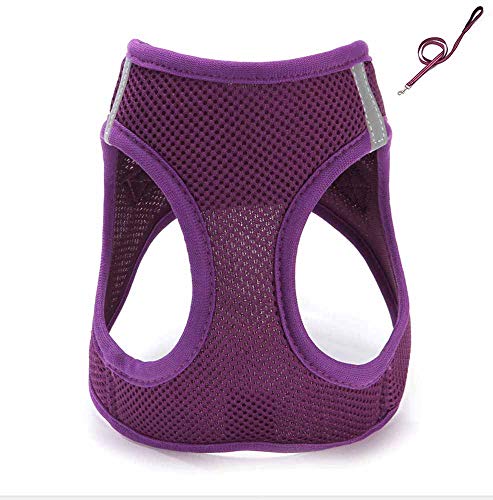 feiling Katzen-Geschirr Hundegeschirr Kleine Hund Atmungsaktiv Mesh Welpengeschirr Verstellbares Brustgeschirre Step-in Vest Reflektierende Softgeschirr mit 1,2M Hundeleine Set Führleine (L, Lila) von feiling