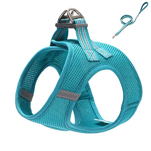 feiling Katzen-Geschirr Hundegeschirr Kleine Hund Atmungsaktiv Mesh Welpengeschirr Verstellbares Brustgeschirre Step-in Vest Reflektierende Softgeschirr mit 1,2M Hundeleine Set Führleine (XL, Blau) von feiling