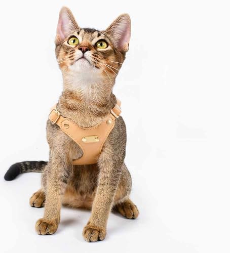 feiling Leder Katzengeschirr Leichtgewicht Wasserfest Hundegeschirr Haustier Brustgeschirr Verstellbar Ledergeschirr für Kleine Hunde (beige, S) von feiling