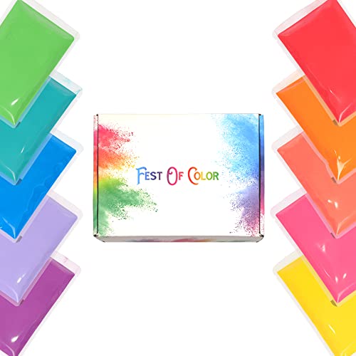 FestOfColor 10 Packungen – je 100 g, Holi Pulver, Holi Farben Pulver, Geschlechtsoffenbarungen, Babypartys, Rangoli, Diwali, Rauch für Fotografie, Natur, Farbkriege, Regenbogen Party, Festivals von festofcolor