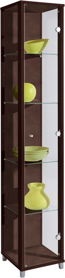 fif möbel Vitrine OPTIMA Höhe ca. 172 cm Standvitrine/Glasvitrine 1x Glastür,perfekt für Sammler,Sammlervitrine von fif möbel