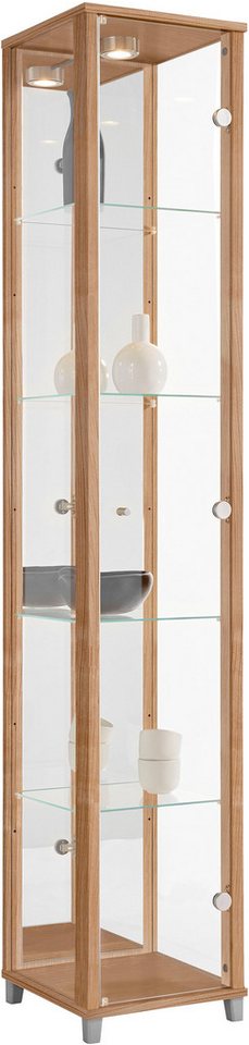 fif möbel Vitrine OPTIMA Standvitrine/Glasvitrine 1x Glastür,perfekt für Sammler,Sammlervitrine von fif möbel