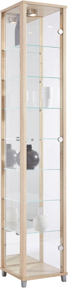 fif möbel Vitrine OPTIMA Standvitrine/Glasvitrine 1x Glastür,perfekt für Sammler,Sammlervitrine von fif möbel