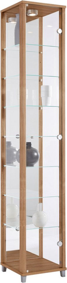 fif möbel Vitrine OPTIMA Standvitrine/Glasvitrine 1x Glastür,perfekt für Sammler,Sammlervitrine von fif möbel