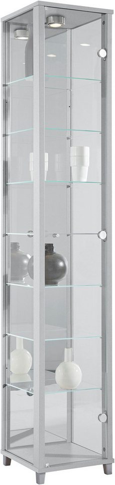 fif möbel Vitrine OPTIMA Standvitrine/Glasvitrine 1x Glastür,perfekt für Sammler,Sammlervitrine von fif möbel