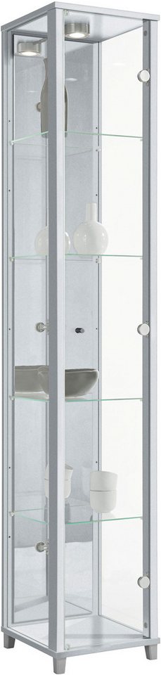 fif möbel Vitrine OPTIMA Standvitrine/Glasvitrine 1x Glastür,perfekt für Sammler,Sammlervitrine von fif möbel