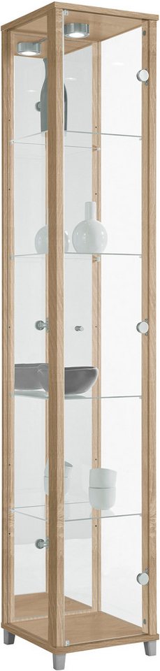 fif möbel Vitrine OPTIMA Standvitrine/Glasvitrine 1x Glastür,perfekt für Sammler,Sammlervitrine von fif möbel