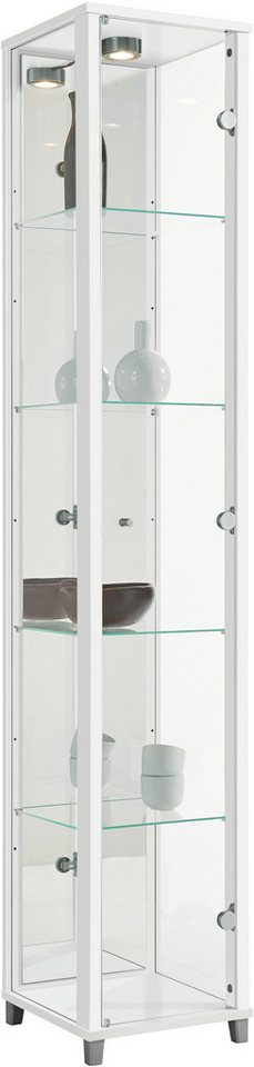 fif möbel Vitrine OPTIMA Standvitrine/Glasvitrine 1x Glastür,perfekt für Sammler,Sammlervitrine von fif möbel