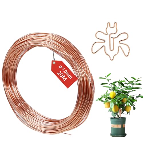 FIFIBANG 20M Kupferdraht 1mm Reiner Kupferkabel T2 Blanker Kupferdraht unlackiert Kupferlackdraht Basteldraht Schmuckdraht Coil Wickeldraht Copper Wire für Schweißen Elektrotechnik gegen schnecken FIFIBANG 20M Kupferdraht 1mm Reiner Kupferkabel T2 Blanker Kupferdraht unlackiert Kupferlackdraht Basteldraht Schmuckdraht Coil Wickeldraht Copper Wire für Schweißen Elektrotechnik gegen schnecken von fifibang