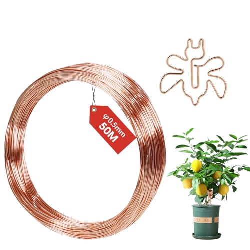 FIFIBANG 50M Kupferdraht, Ø0.5mm Copper Wire, T2 Reiner Kupferdraht Blank, Basteldraht Schmuckdraht, Gardening Kupferdraht, Kupferspulen für Garten, Pflanzen und Gemüseanbau DIY von fifibang