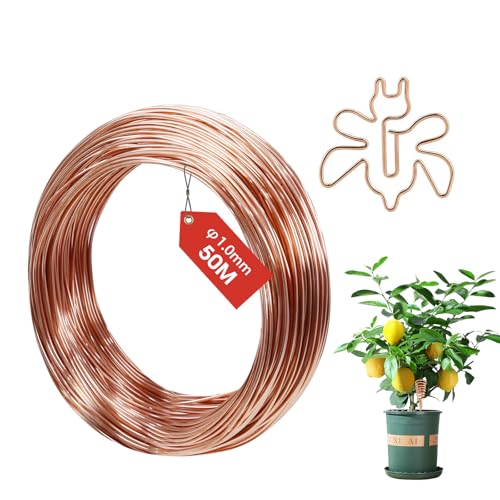 FIFIBANG 50M Kupferdraht, Ø1mm Copper Wire, T2 Reiner Kupferdraht Blank, Basteldraht Schmuckdraht, Gardening Kupferdraht, Kupferspulen für Garten, Pflanzen und Gemüseanbau DIY von fifibang