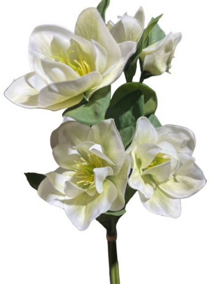 Kunstblume 2x Künstliche Christrosenbund x3 L35cm Christrose creme/grün, finehomegarden, Kunstblumen Künstliche Blumen Heleborus Kunstpflanzen Dekopflanze Kunstblume 2x Künstliche Christrosenbund x3 L35cm Christrose creme/grün, finehomegarden, Kunstblumen Künstliche Blumen Heleborus Kunstpflanzen Dekopflanze von finehomegarden