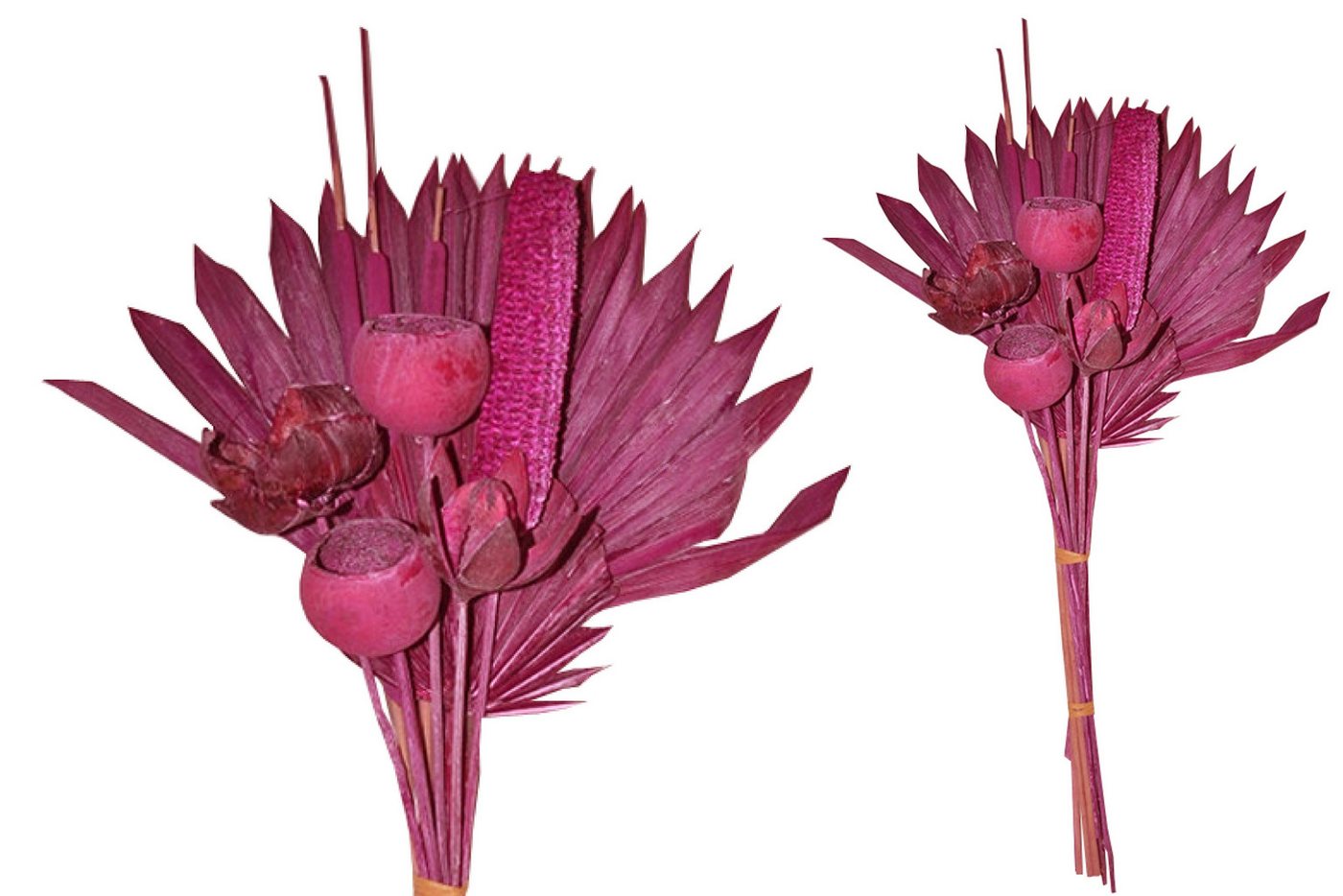 Trockenblume Grabstrauß BOHO Style Exotic Palmspear brombeer 60cm Exoten Grabdeko, finehomegarden, Höhe 60 cm, Grabgestecke Alleheiligen Totensontag Trockenstrauß von finehomegarden