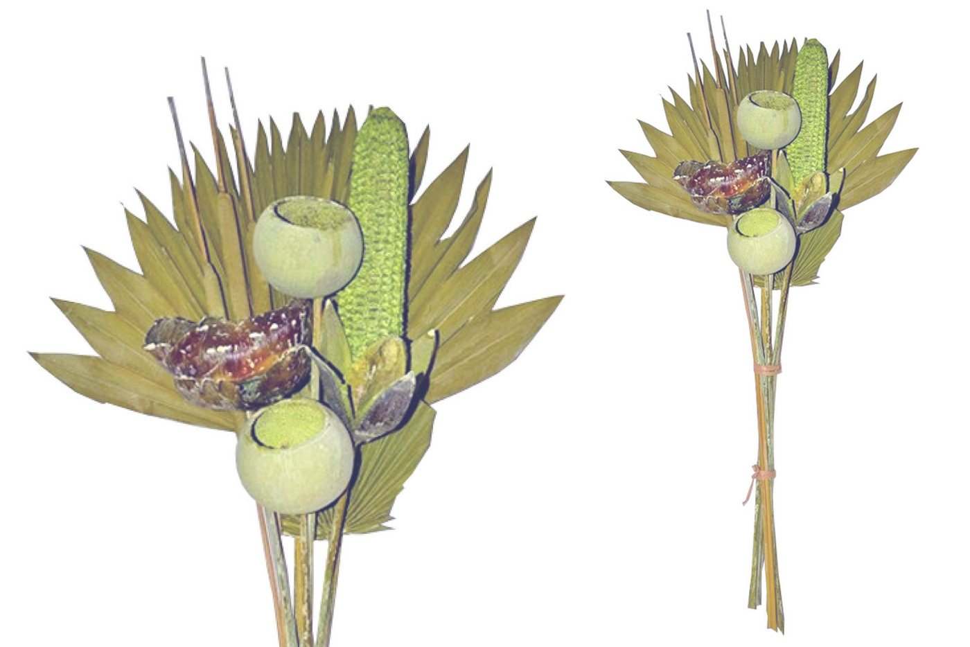 Trockenblume Grabstrauß BOHO Style Exotic Palmspear kiwi 60cm Exoten Grabdeko, finehomegarden, Höhe 60 cm, Grabgestecke Alleheiligen Totensontag Trockenstrauß von finehomegarden