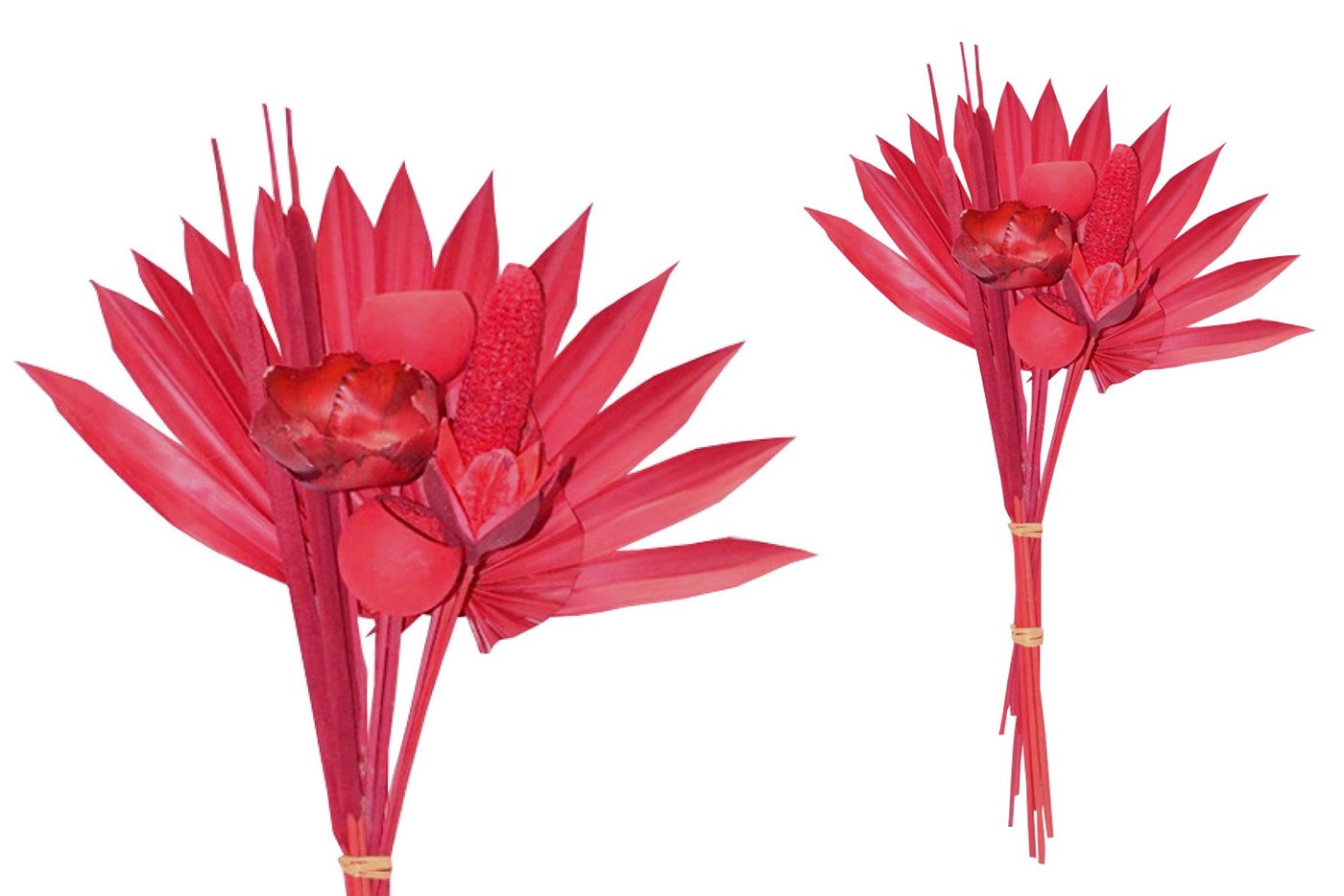 Trockenblume Grabstrauß BOHO Style Exotic Palmspear rot 60cm Exoten Grabdeko, finehomegarden, Höhe 60 cm, Grabgestecke Alleheiligen Totensontag Trockenstrauß von finehomegarden