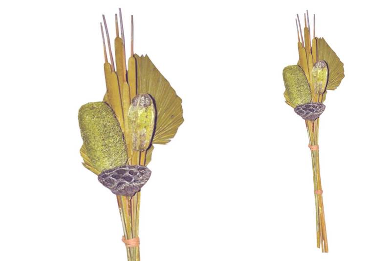 Trockenblume Grabstrauß BOHO Style Little Palm kiwi 64cm Exoten Grabdeko, finehomegarden, Höhe 64 cm, Grabgestecke Alleheiligen Totensontag Trockenstrauß Trockenblume Grabstrauß BOHO Style Little Palm kiwi 64cm Exoten Grabdeko, finehomegarden, Höhe 64 cm, Grabgestecke Alleheiligen Totensontag Trockenstrauß von finehomegarden