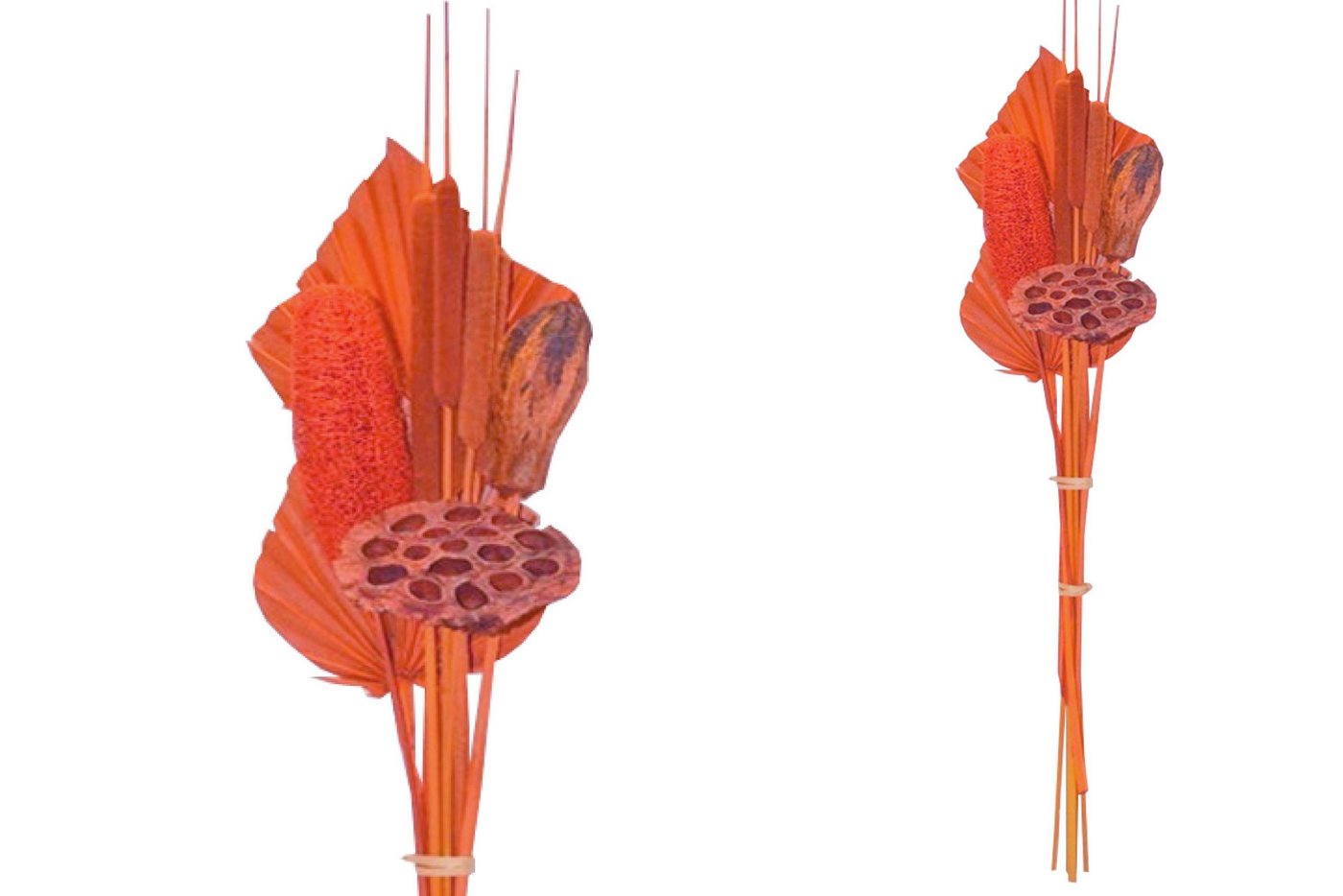 Trockenblume Grabstrauß BOHO Style Little Palm orange 64cm Exoten Grabdeko, finehomegarden, Höhe 64 cm, Grabgestecke Alleheiligen Totensontag Trockenstrauß von finehomegarden
