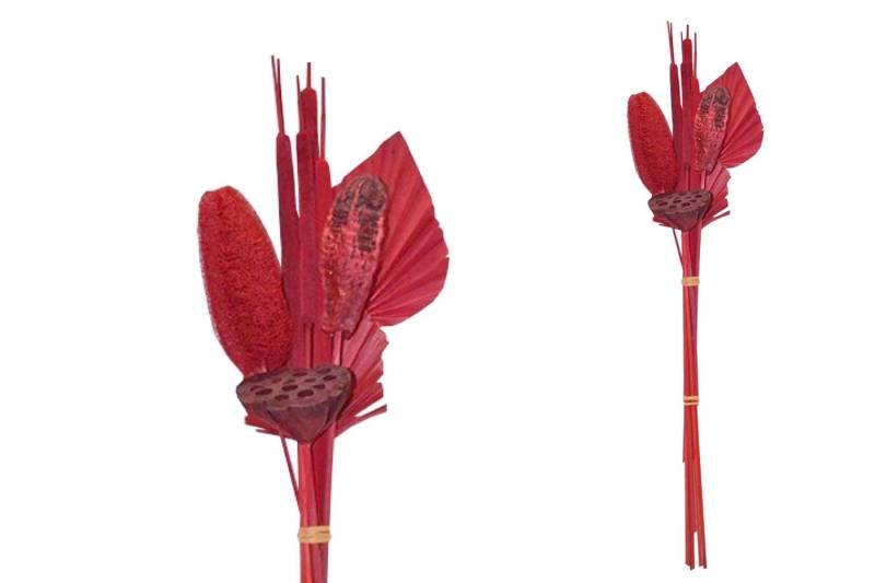 Trockenblume Grabstrauß BOHO Style Little Palm rot 64cm Exoten Grabdeko, finehomegarden, Höhe 64 cm, Grabgestecke Alleheiligen Totensontag Trockenstrauß Trockenblume Grabstrauß BOHO Style Little Palm rot 64cm Exoten Grabdeko, finehomegarden, Höhe 64 cm, Grabgestecke Alleheiligen Totensontag Trockenstrauß von finehomegarden