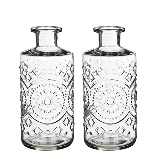 finehomegarden Glasflasche 2er Set Glas Dekoflasche Flasche Vase klar Ø9cm H21cm Deko von finehomegarden