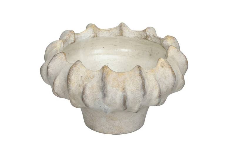 finehomegarden Übertopf Schale Zement creme/gold gewischt Pflanzgefäß Ø23cm H13,5cm (1 St), Pflanztopf Pflanzschale / Paket von finehomegarden