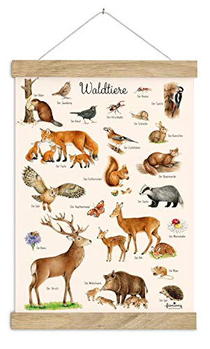 DIN A3 Poster Kunstdruck UNGERAHMT, OHNE HOLZLEISTE Waldtiere beige Kinderposter Kinderzimmer Deko Junge Mädchen Baby Geburt Babyzimmer Wandbild Schule Kindergarten Geschenk Druck Poster Bild von fioniony