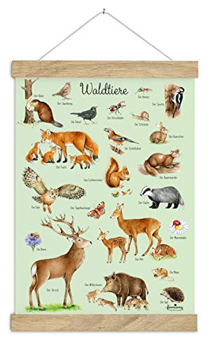 DIN A3 Poster Kunstdruck UNGERAHMT, OHNE HOLZLEISTE Waldtiere grün Kinderposter Kinderzimmer Deko Junge Mädchen Baby Geburt Babyzimmer Wandbild Schule Kindergarten Geschenk Druck Poster Bild von fioniony