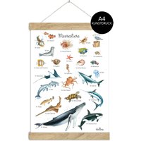 Din A4 Kunstdruck Ungerahmt/Gerahmt Meerestiere Aquarell Weiß Poster Kinderzimmer Babyzimmer von fioniony