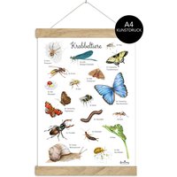Krabbeltiere Poster Din A4 Ungerahmt/Gerahmt Lernposter Insekten Kinderzimmer Tierposter Schmetterling Kindergarten Waldtiere Schulanfang von fioniony