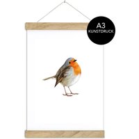 Rotkehlchen Illustration Din A3 Kunstdruck Poster Ungerahmt/Gerahmt Arztpraxis Schule Kinderzimmer Babyzimmer von fioniony