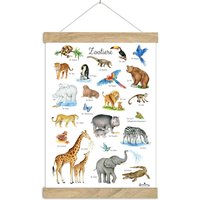 Zootiere Poster Dina3 Ungerahmt/Gerahmt Lernposter Insekten Kinderzimmer Tierposter Wilde Tiere Kindergarten Waldtiere Schulanfang von fioniony