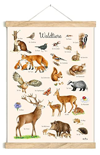 fioniony POSTER 50 x 70 cm WALDTIERE BEIGEUNGERAHMT OHNE HOLZLEISTE Kinder Tierposter Lernposter Schulanfang 1. Klasse Kinderzimmer Deko Geburt Babyzimmer Wandbild Schule Kindergarten von fioniony