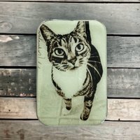 Katze Strickutensilien Dose, Grosses Kartenetui | 026 von fireflynotes