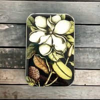 Magnoliendose Small | 011 von fireflynotes