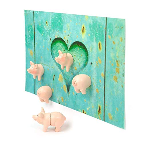 Trendform Sortiert beliebtes Form Büro magnets-11.94 (Set of Home Zubehör), Pink, 9 x 10 x 2,2 cm von first4magnets