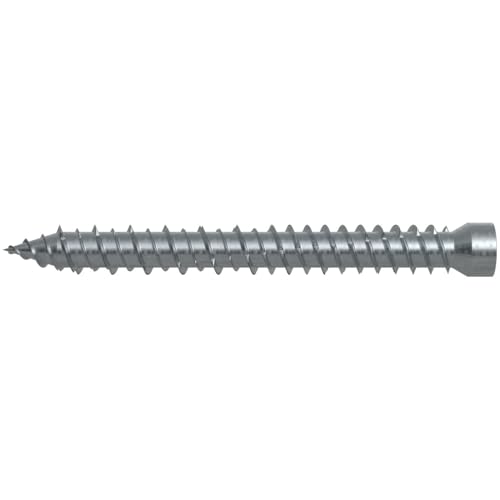 Fischer FFSZ Schraube für Fenster und Fensterrahmen, Zylinderkopf, Torxantrieb 7,5 x 62 T30 (100 Stück) von fischer